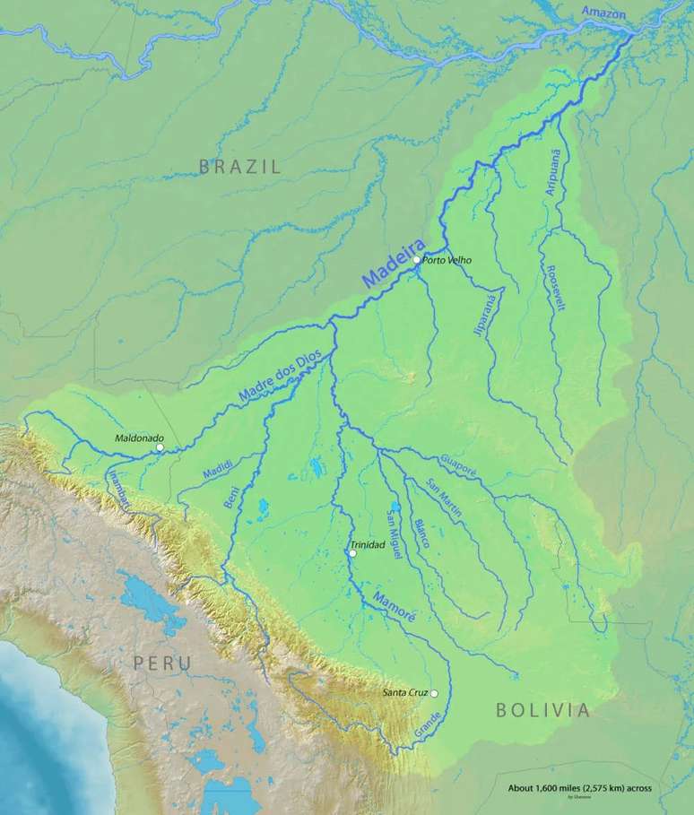 Wikimedia Commons