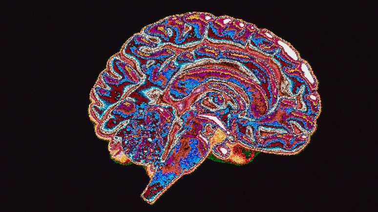 A neurociência começou a explorar como o poder político e o contexto institucional influenciam a atividade cerebral associada a decisões corruptas ou imorais.