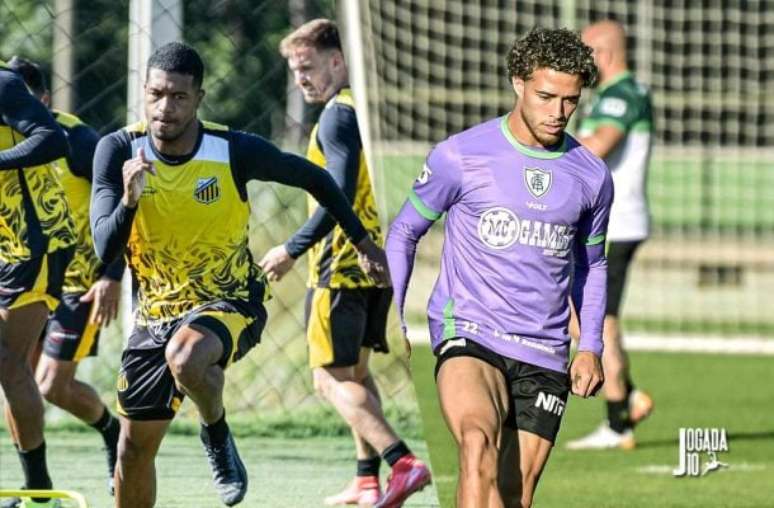 Divulgação/Novorizontino; Divulgação/América/MG - Legenda: Novorizontino e América Mineiro se enfrentam pela 16ª rodada da Série B