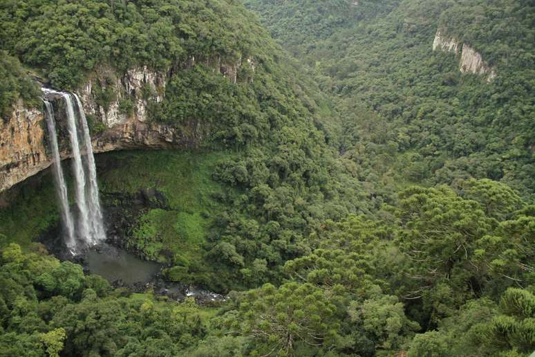 5 Brazilian winter destinations for nature lovers