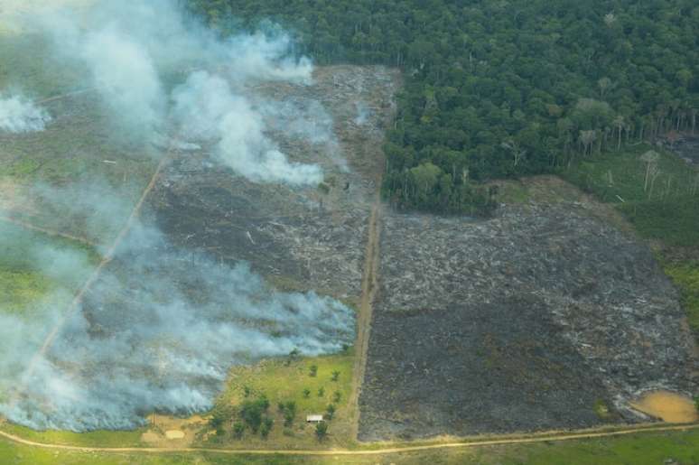Os alertas de desmatamento cresceram 27% na Amazônia no primeiro semestre de 2025.