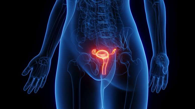 Although the uterus does not flow through the body, it has mobility within certain limits Although the uterus does not flow through the body, it has mobility within certain limits