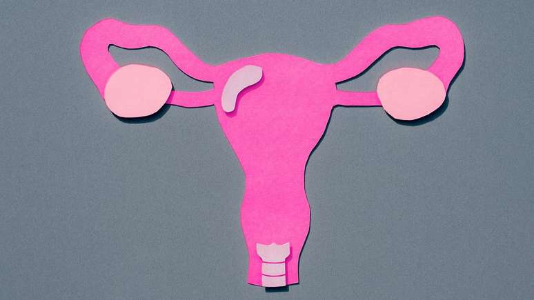 The extraordinary mobility of the uterus and because it is fundamental for the female reproductive system The extraordinary mobility of the uterus and because it is fundamental for the female reproductive system