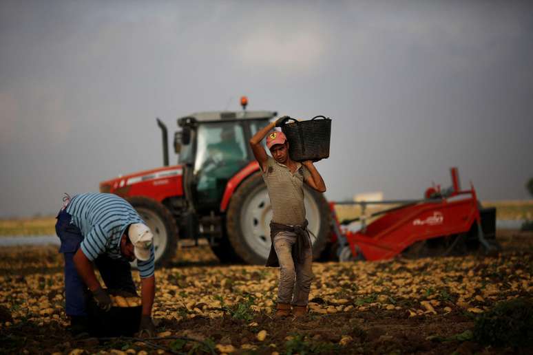 A agricultura de Múrcia depende da mão de obra migrante.
