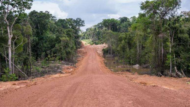 A constru&ccedil;&atilde;o de rodovias no meio da floresta facilita a transmiss&atilde;o de pat&oacute;genos para regi&otilde;es densamente populadas, apontam estudos
