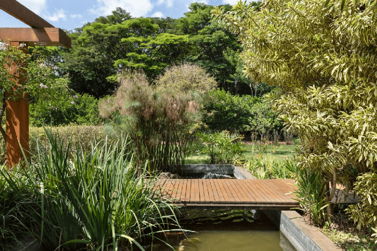 Conciliar as espécies com a região torna o paisagismo mais sustentável Projeto de arquitetura: Gilda Meirelles | Paisagismo: Catê Poli |
