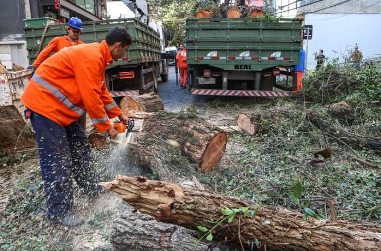&Aacute;rvore atingiu carros parados e fia&ccedil;&atilde;o.