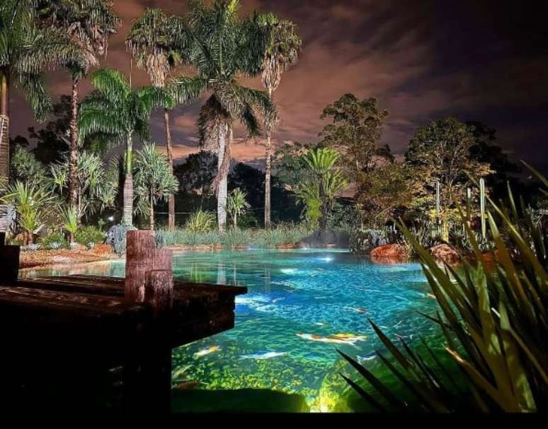 Lago artificial em mans&atilde;o de Neymar na cidade de Mangaratiba fez pai de jogador receber multa- Reprodu&ccedil;&atilde;o/Instagram Genesis e Ecossistemas