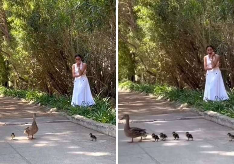 Meghan Markle se surpreende com presen&ccedil;a de patos em casa