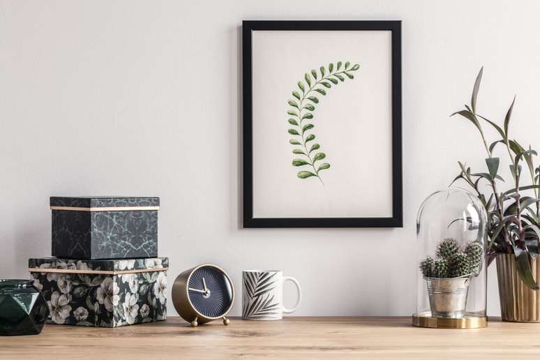 Decoration plants help to leave the environments welcoming 