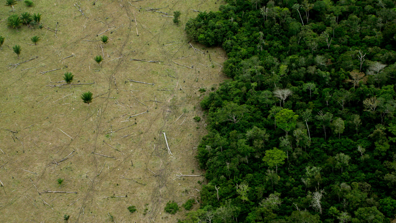 Flexibilização do licenciamento ambiental diverge opiniões