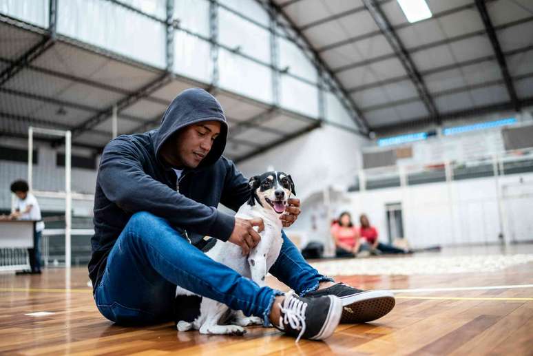 Os c&atilde;es podem ser mais &uacute;teis do que os amigos humanos para lidar com situa&ccedil;&otilde;es estressantes. FG Trade/E+ via Getty Images