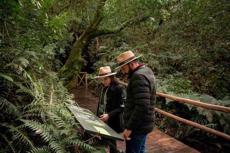 Gaucho Winery joins wine and paleontology