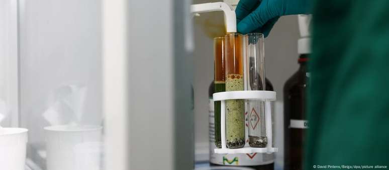 Nos EUA, um estudo de Harvard apontou que 98% da população tem PFAS no sangue; na Alemanha, uma em cada cinco crianças exibe níveis críticos de contaminação