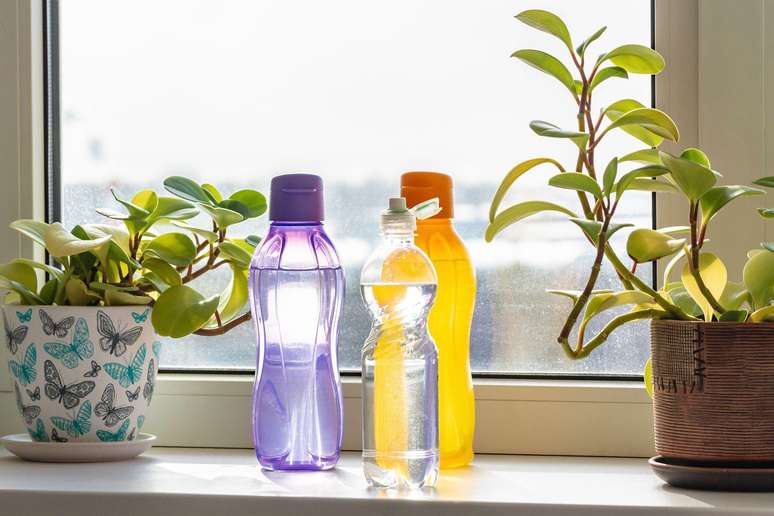 plastic bottles plastic bottles