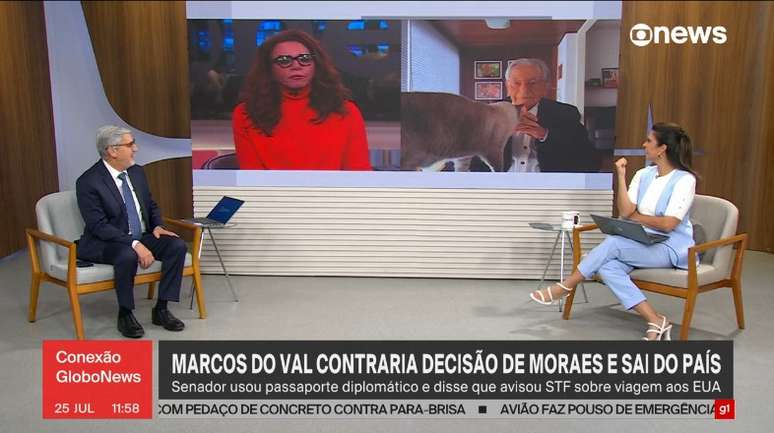 Gata de Fernando Gabeira invade transmissão da GloboNews