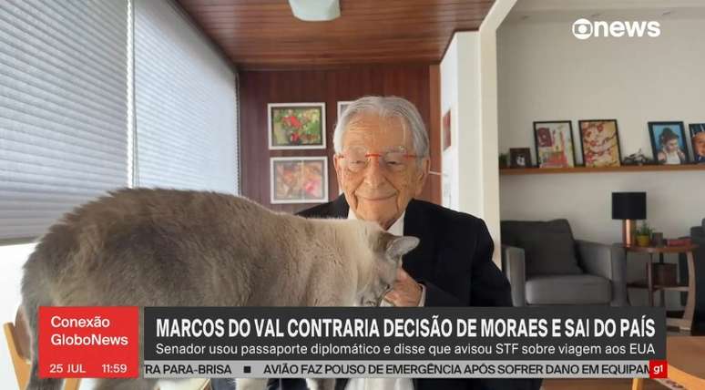 Gata de Fernando Gabeira invade transmissão da GloboNews