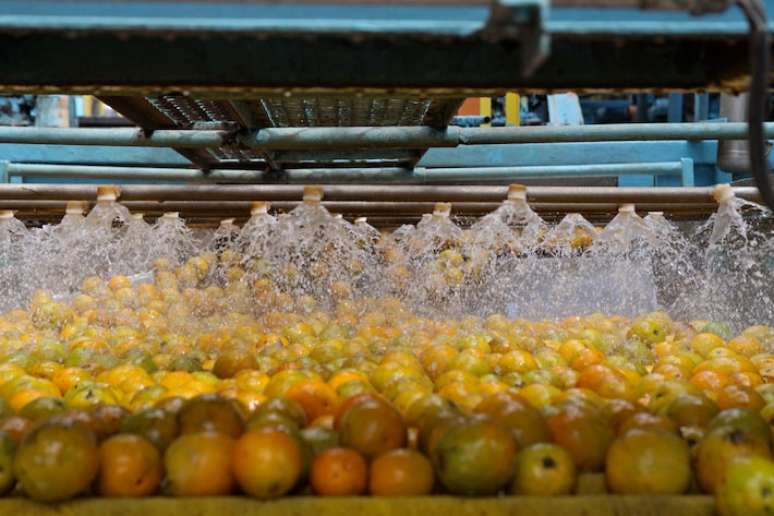 Suco de laranja brasileiro vai chegar mais caro para o consumidor dos EUA com o tarifaço