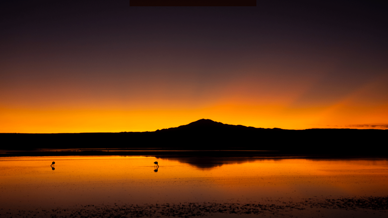 'Nossas aves sagradas est&atilde;o desaparecendo', lamenta Faviola Gonz&aacute;lez