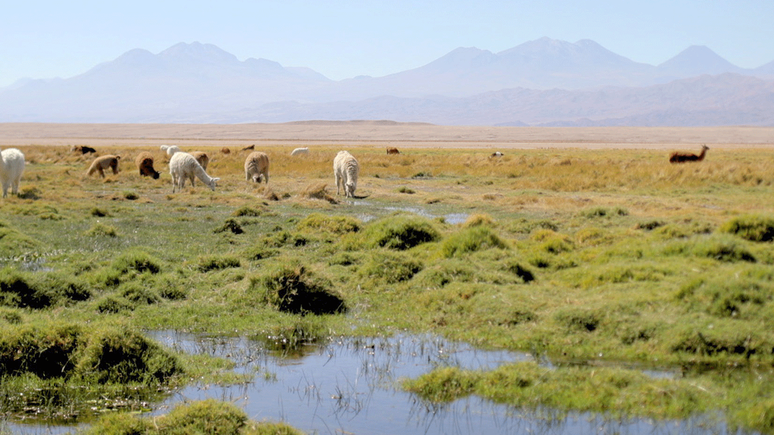'As empresas d&atilde;o um pouco de dinheiro para a comunidade, mas eu preferiria n&atilde;o receber dinheiro. Prefiro viver da natureza e ter &aacute;gua para viver', afirma a moradora da regi&atilde;o Sara Plaza