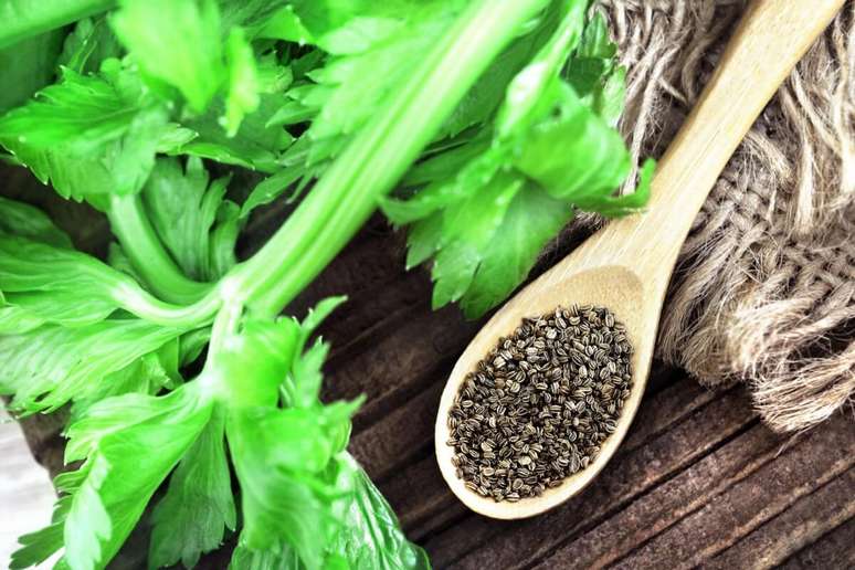 O aipo ajuda a manter o bom funcionamento do intestino 