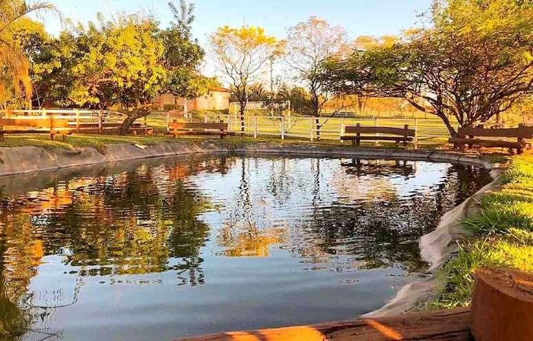 Z&eacute; Love perdeu posse de s&iacute;tio para pai de Neymar ap&oacute;s divida &ndash;