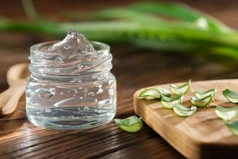 There are no scientific studies that show that Aloe inhibits the loss and stimulates hair growth There are no scientific studies that show that Aloe inhibits the loss and stimulates hair growth
