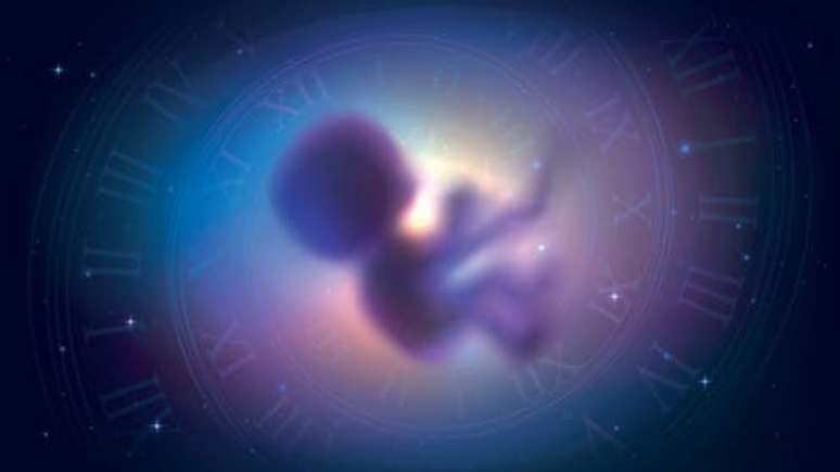 Floating children, cosmic radiation and zero gravity childbirth: what a spatial pregnancy can actually involve