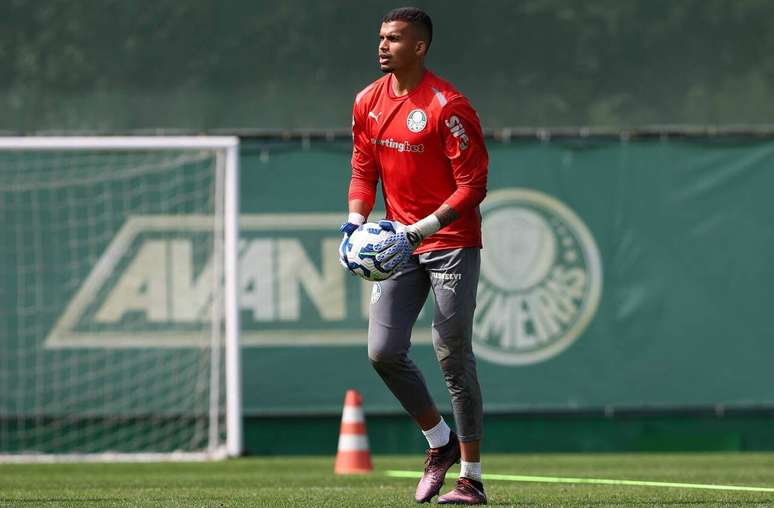 Aranha faz parte do elenco profissional do Palmeiras &ndash;