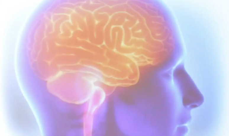 The pandemic caused aging in the brain even by those who had no Covid-19, shows the study