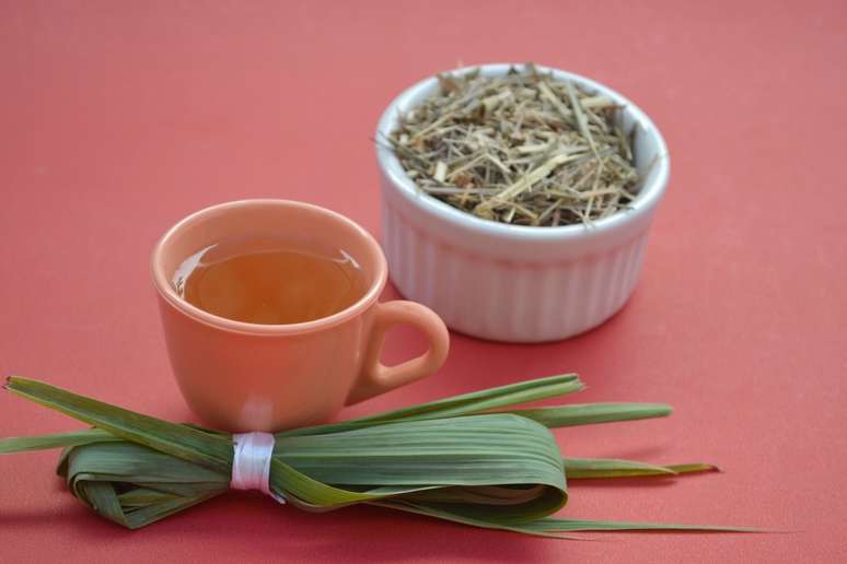 A erva-cidreira beneficia a sa&uacute;de cardiovascular ao reduzir a press&atilde;o arterial e melhorar a circula&ccedil;&atilde;o sangu&iacute;nea 