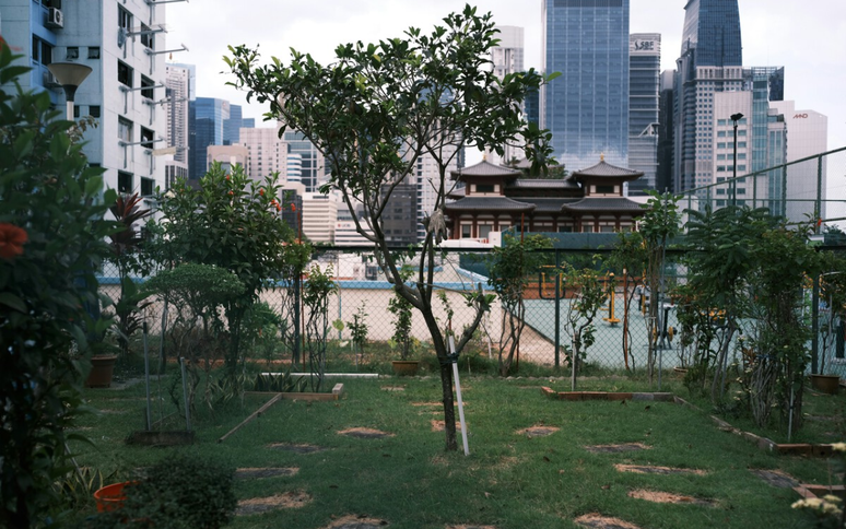 Urban gardens are a risk to health, even if you think in the contrary: either we take them seriously, or we will have a problem