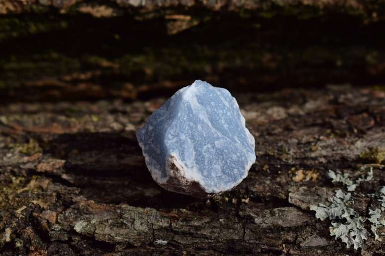 A angelita ajuda a reduzir a ins&ocirc;nia 