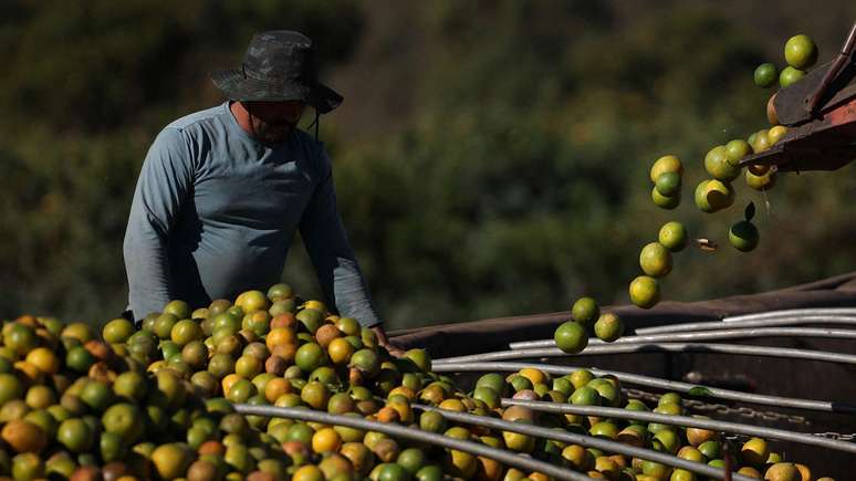 Os EUA respondem por cerca de 37% das exporta&ccedil;&otilde;es brasileiras de suco de laranja