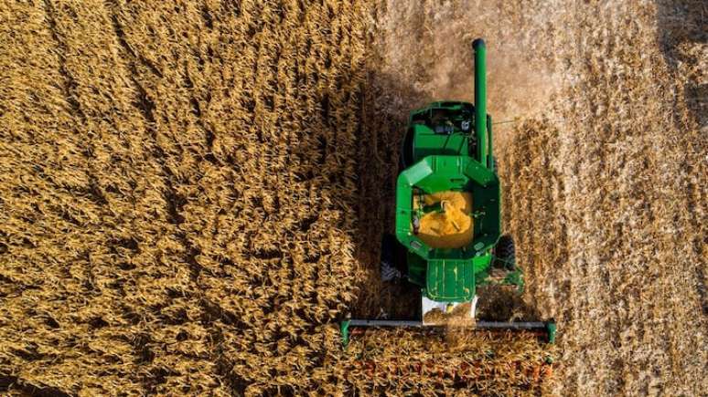 Fertilizantes são usados para adubar a terra para agricultura; ministra Simone Tebet que país não pode viver sem a importação da Rússia