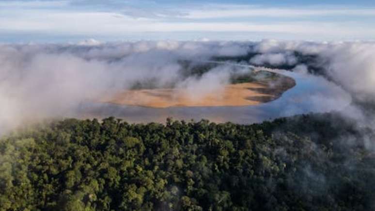 Vista aérea da nova Área de Conservação Regional do Médio Putumayo Algodón, perto da fronteira do Peru com a Colômbia. Há todos os motivos para acreditar que a rodovia Bellavista-El Estrecho, que cruzará a região, terá impactos devastadores nas áreas naturais protegidas e nas comunidades indígenas que estão em seu caminho.