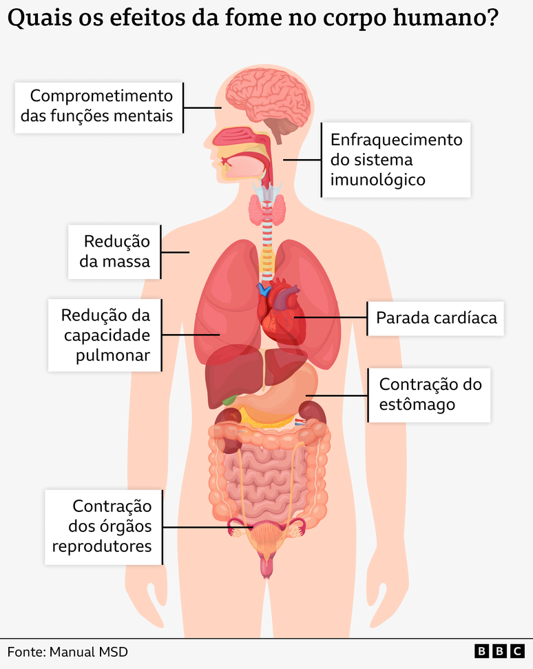Os efeitos da fome a longo prazo
