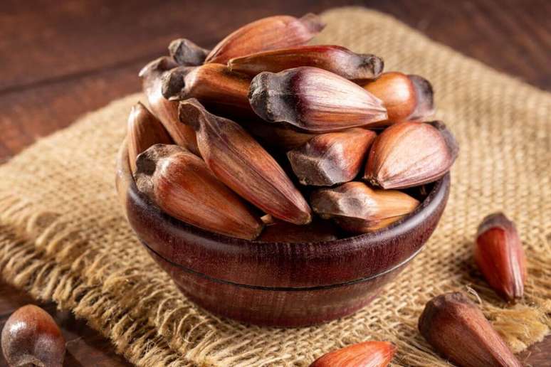 Pinhão helps to control the appetite by offering slower digestion Pinhão helps to control the appetite by offering slower digestion