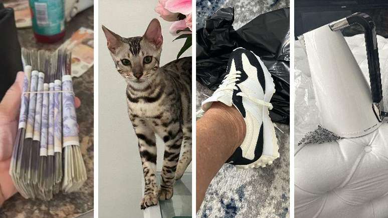 Entre as compras de "gângster Debbs" estavam acessórios de luxo para seu gato, tênis esportivos e uma chaleira Bugatti