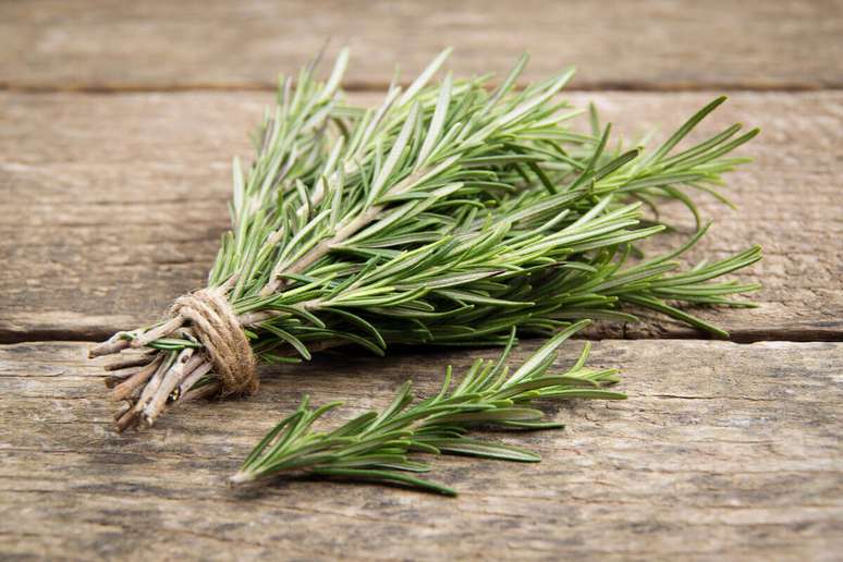 Learn to use rosemary to avoid negative energies