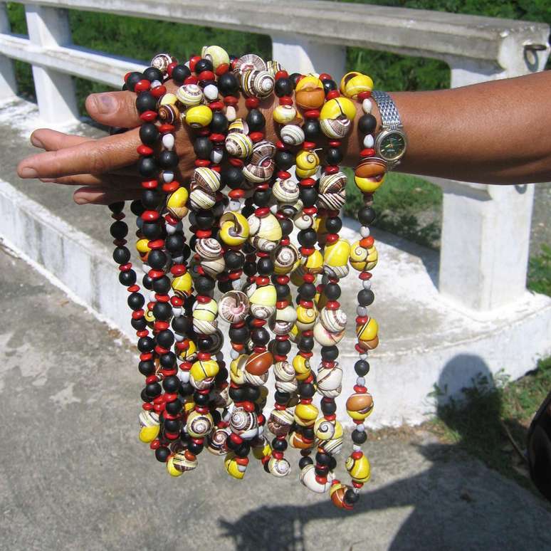 As conchas dos caramujos são vendidas como itens decorativos e ornamentos