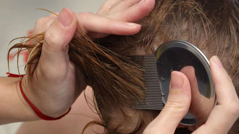 Uma pessoa passa um pente fino em uma cabeça com os cabelos molhados. 