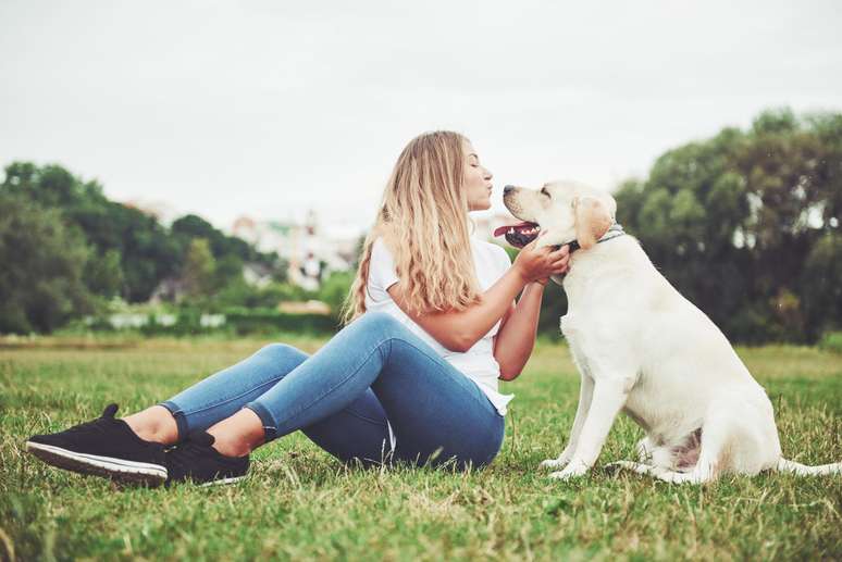 7 large breeds of dogs ideal for those who live at home with the courtyard