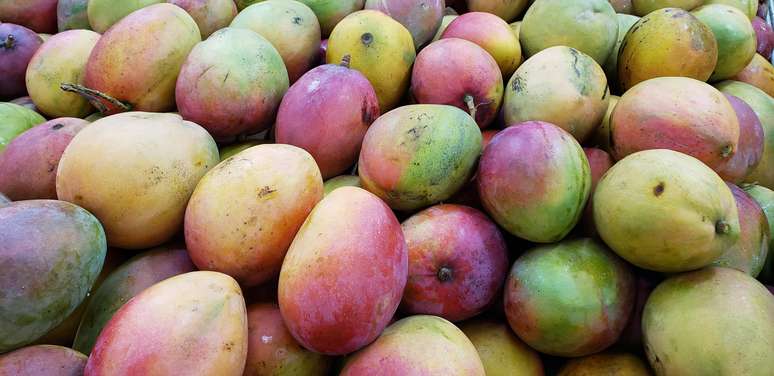 A manga brasileira será um dos produtos mais afetados pela taxação dos EUA