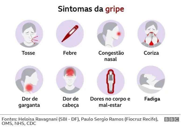 A vacina da gripe precisa ser atualizada anualmente