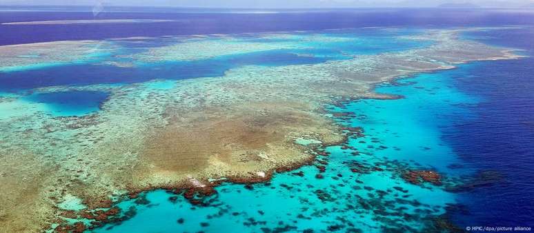 A Grande Barreira de Coral foi declarada Patrimônio Natural da Humanidade pela Unesco em 1981, mas tem sofrido com degradação nos últimos anos
