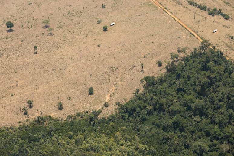 Desmatamento na Amazônia é a principal fontes de emissões de efeito estufa no Brasil