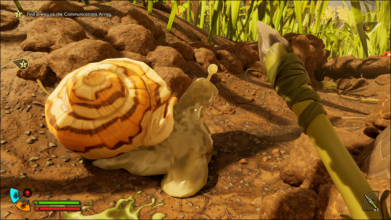 O caramujo é só um dos muitos bichos que encontramos pelo caminho