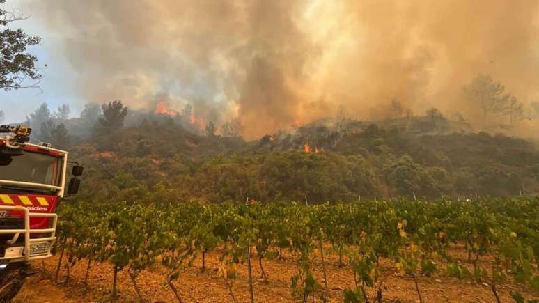 Até 900 hectares de vinhedos foram destruídos pelos incêndios florestais na região de Aude, no sul da França, que após serem controlados, agora seguem pelos próximos dias em ações de contingência.