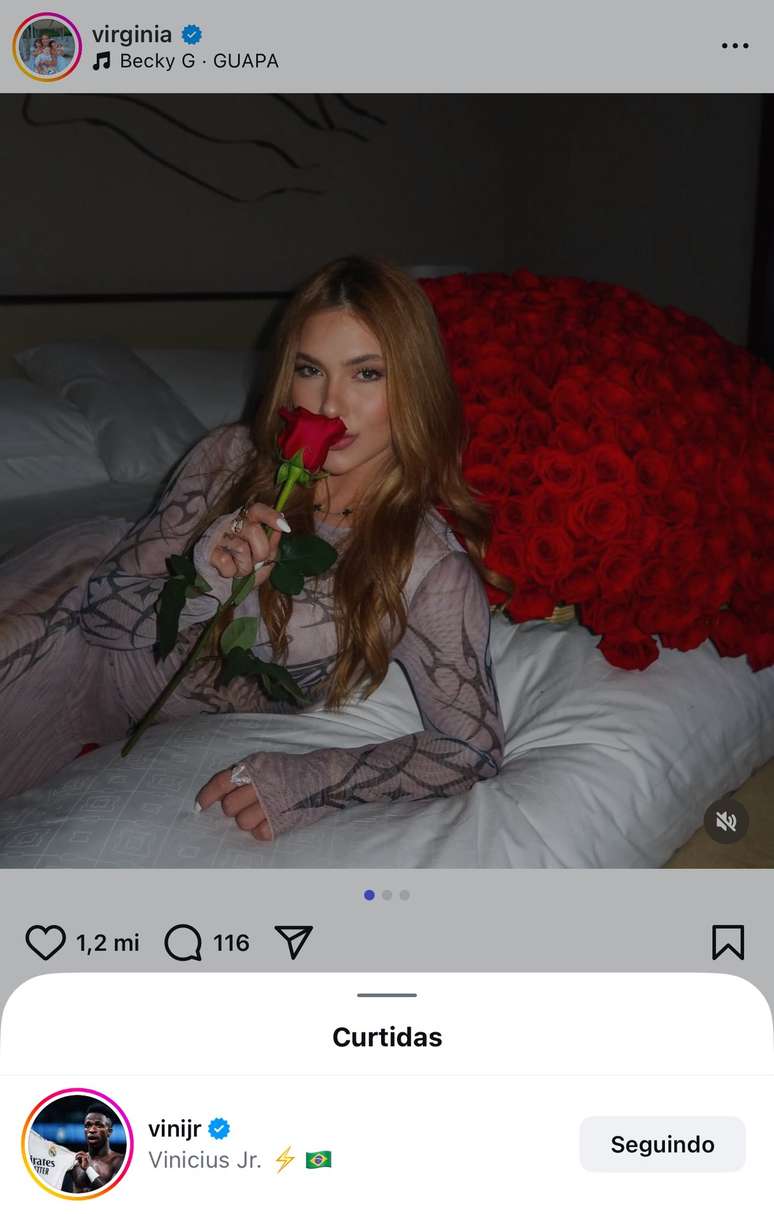 Vinicius J&uacute;nior curte publica&ccedil;&atilde;o de &lsquo;buqu&ecirc; misterioso&rsquo; de Virginia Fonseca &ndash;